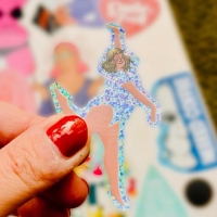 LOT DE 5 STICKERS COSY CLUB